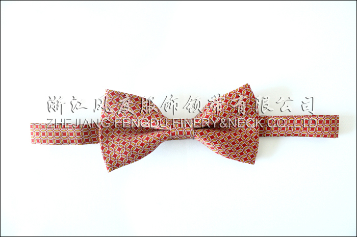 6243309_外貿領結-532.jpeg